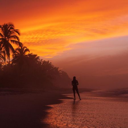 Bohemia Beach Tayrona Guachaca Exteriör bild